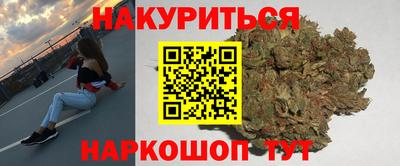 альфа пвп Новодвинск