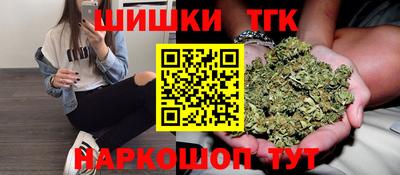 тгк Новозыбков