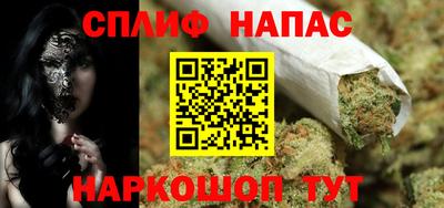 тгк Новозыбков