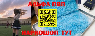 альфа пвп Новодвинск