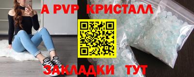 тгк Новозыбков