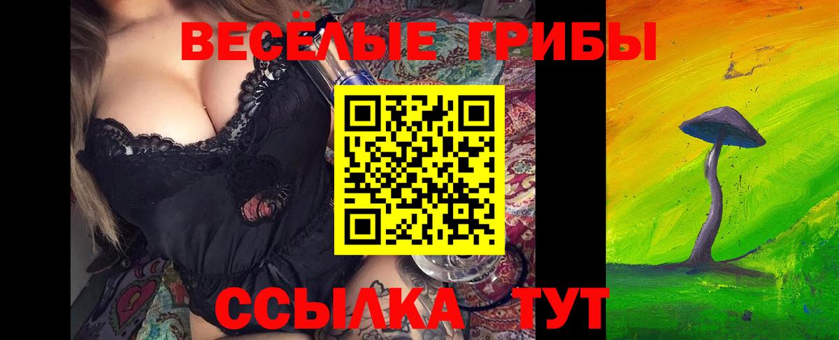 Галлюциногенные грибы Psilocybine cubensis Юрга