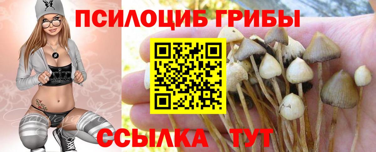 где купить наркоту  Галлюциногенные грибы MAGIC MUSHROOMS  Юрга  Вход с VPN  Галлюциногенные грибы Magic Shrooms 